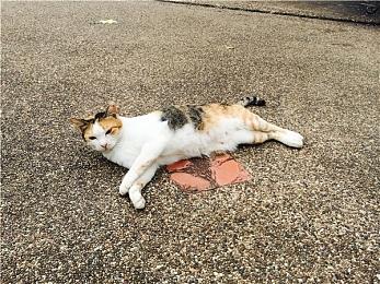 《堡垒之夜》新增语音举报 未成年玩家默认开启