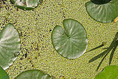 《8号出口》作者揭秘 游戏中地铁通道原型来自大阪站