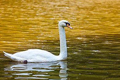 《暗影火炬城》‍现已登陆Steam发售 获玩家特别好评